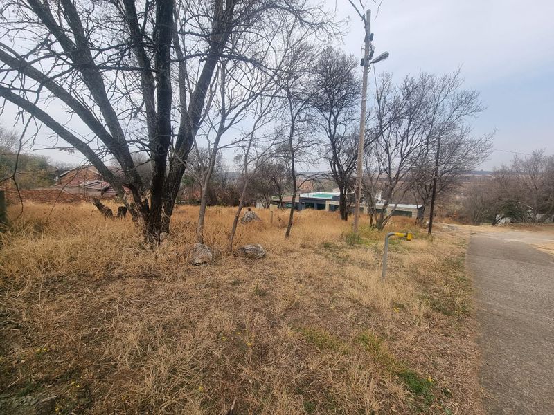 A view of a vacant residential plot featuring mature trees and direct access to a paved road.
