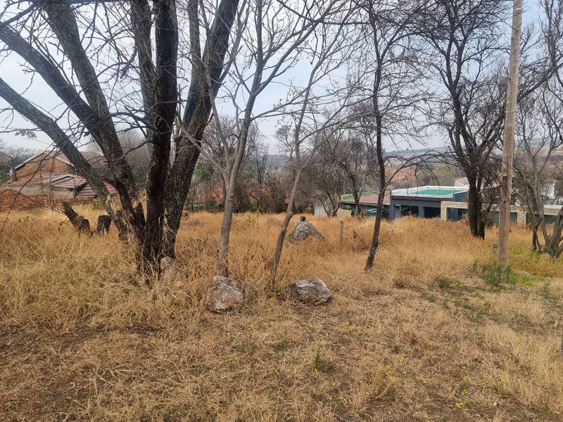 A view of a vacant residential plot featuring mature trees and natural vegetation, offering potential for future development.
