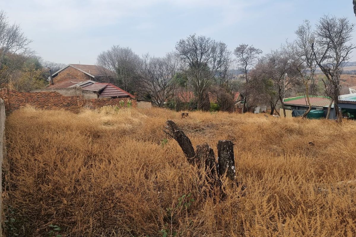A vacant residential plot featuring overgrown dry grass and a partial brick boundary wall, offering potential for future development.