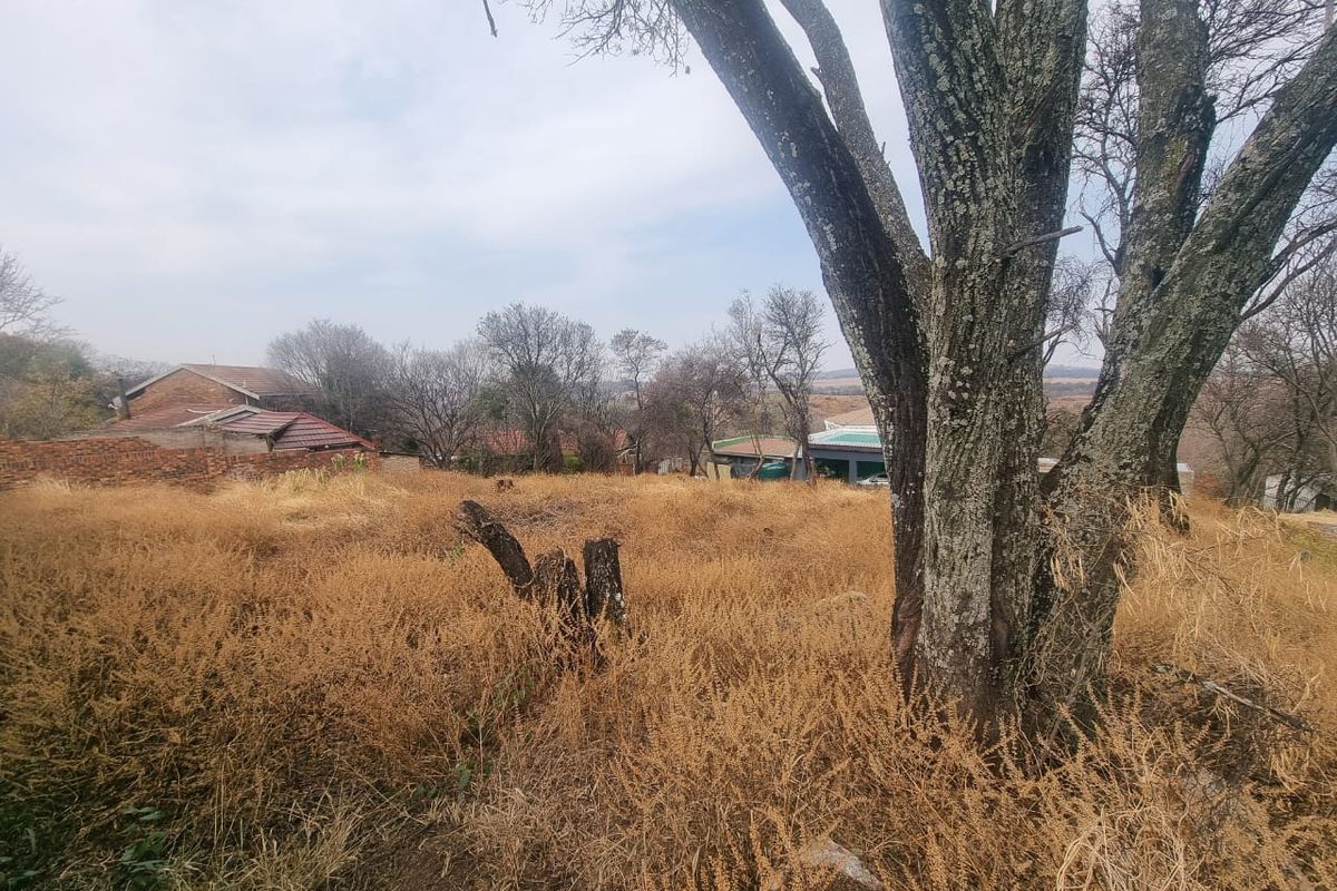 A view of an undeveloped residential plot featuring mature trees and dry vegetation, showing the natural state of the land.