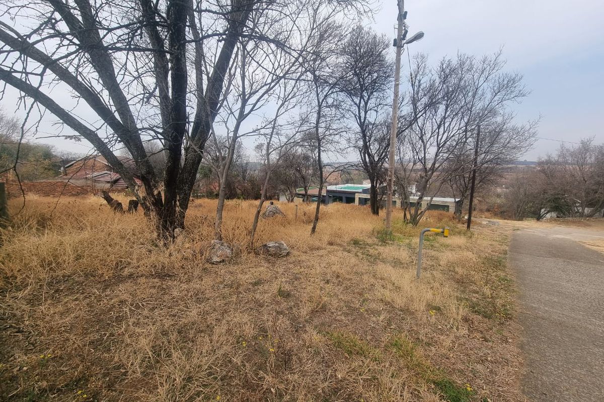 A view of a vacant residential plot featuring mature trees and direct access to a paved road.