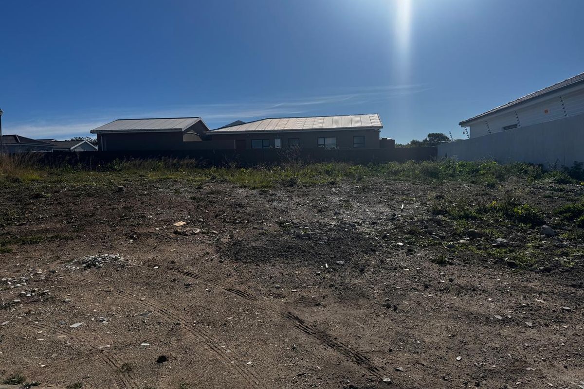 Immaculate Stand in Sought-After Fountains Estate, Jeffreys Bay - Photo 3