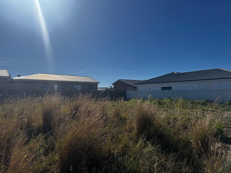 Immaculate Stand in Sought-After Fountains Estate, Jeffreys Bay - Photo 6