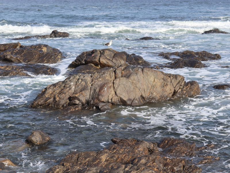 Vacant land for Sale in Shelley Point - Photo 9