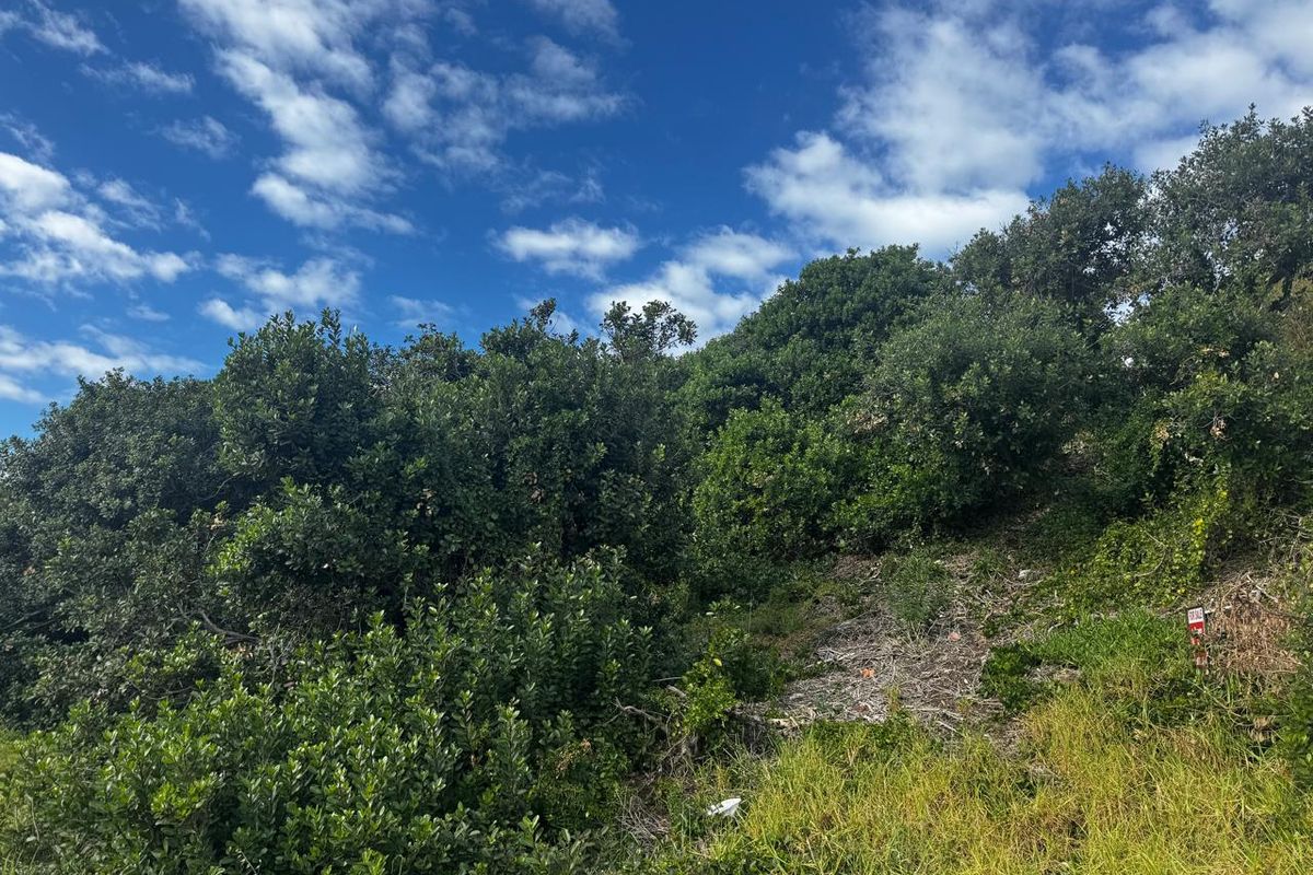 Immaculate Stand in Paradise Beach, Jeffreys Bay - Photo 5