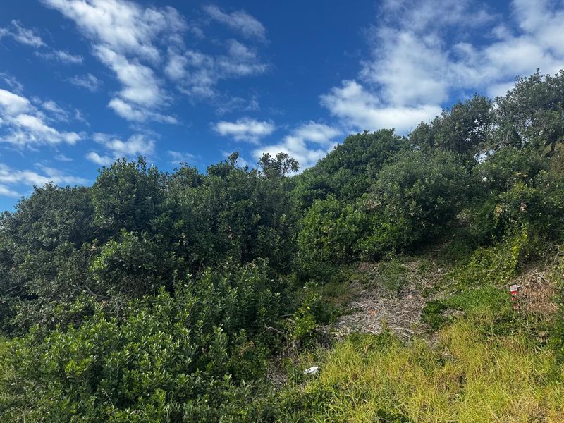 Immaculate Stand in Paradise Beach, Jeffreys Bay - Photo 5