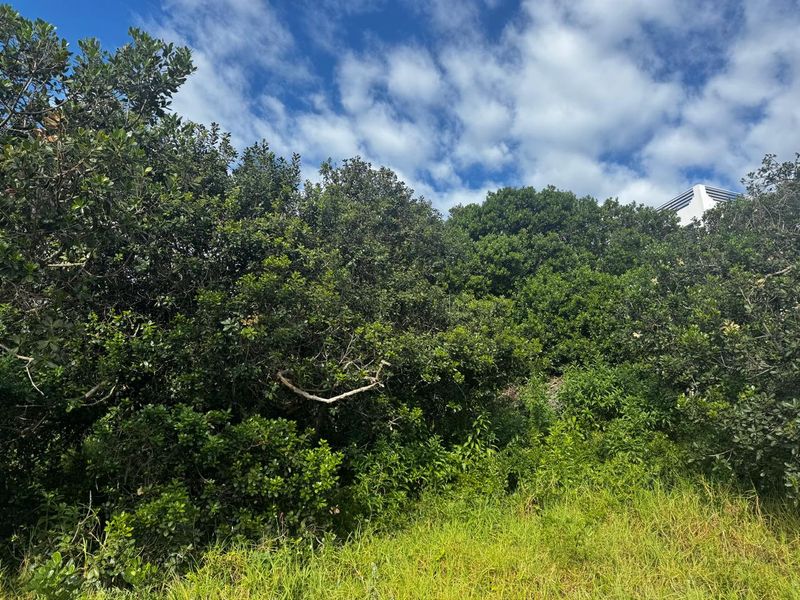 Immaculate Stand in Paradise Beach, Jeffreys Bay - Photo 7