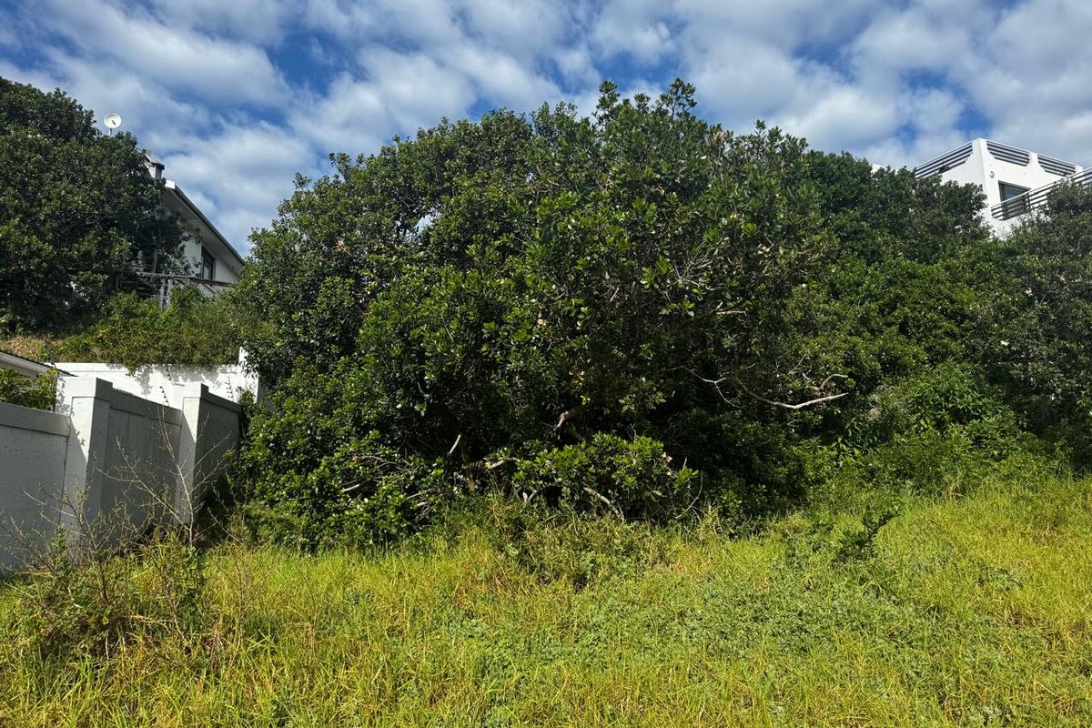 Immaculate Stand in Paradise Beach, Jeffreys Bay - Photo 2