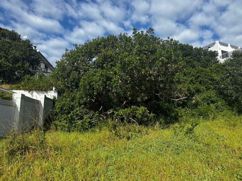 Immaculate Stand in Paradise Beach, Jeffreys Bay - Photo 2