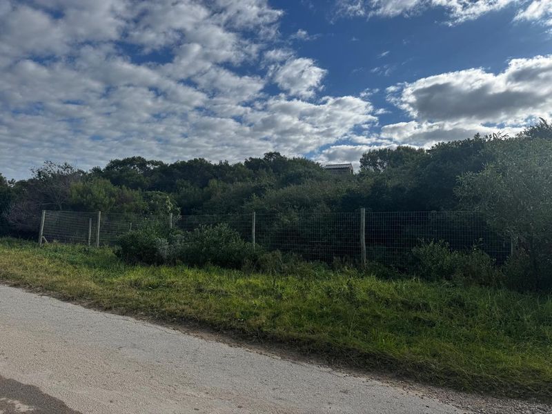 Immaculate Stand in Paradise Beach, Jeffreys Bay - Photo 4