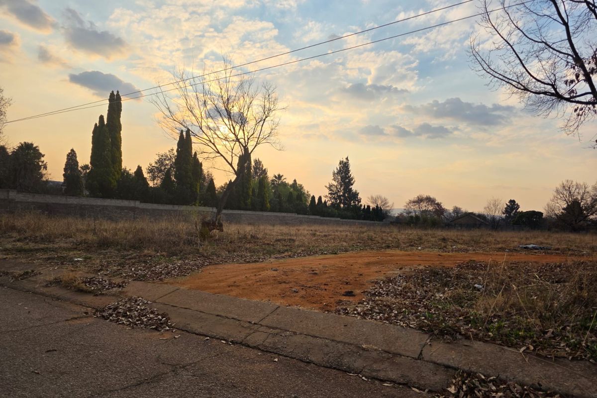 A street-level view of a vacant residential plot featuring a concrete curb, perimeter wall, and established trees under a sunset sky.