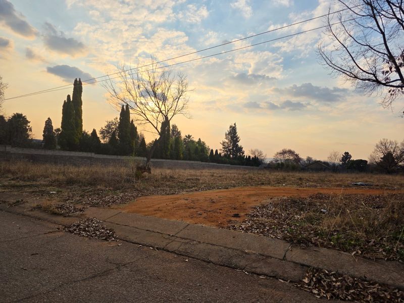 A street-level view of a vacant residential plot featuring a concrete curb, perimeter wall, and established trees under a sunset sky.