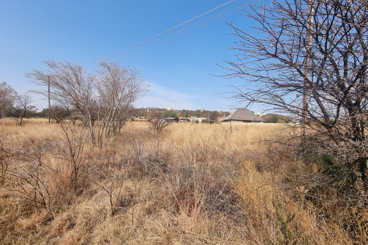 Embrace Peace and Nature - Large 1,054m2 Stand - Photo 2