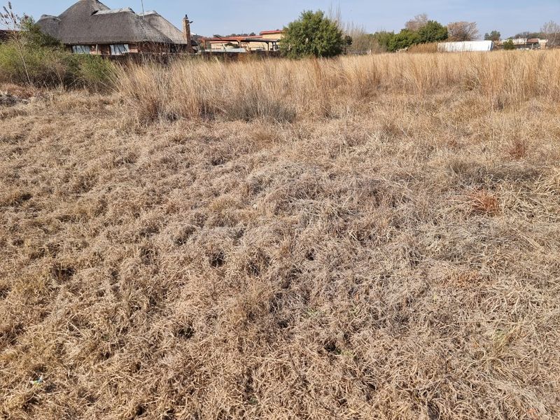 Embrace Peace and Nature - Large 1,054m2 Stand - Photo 4