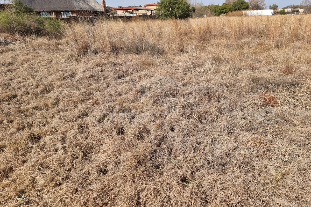 Embrace Peace and Nature - Large 1,054m2 Stand - Photo 4