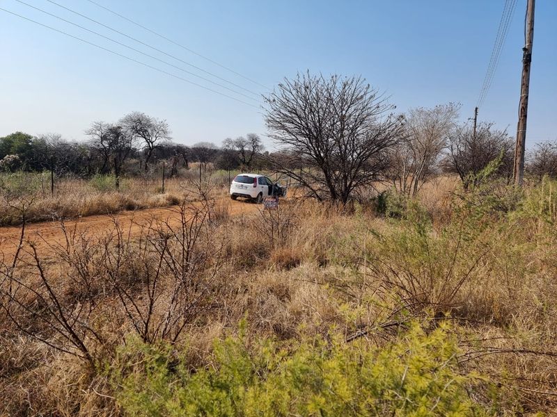 Embrace Peace and Nature - Large 1,054m2 Stand - Photo 3