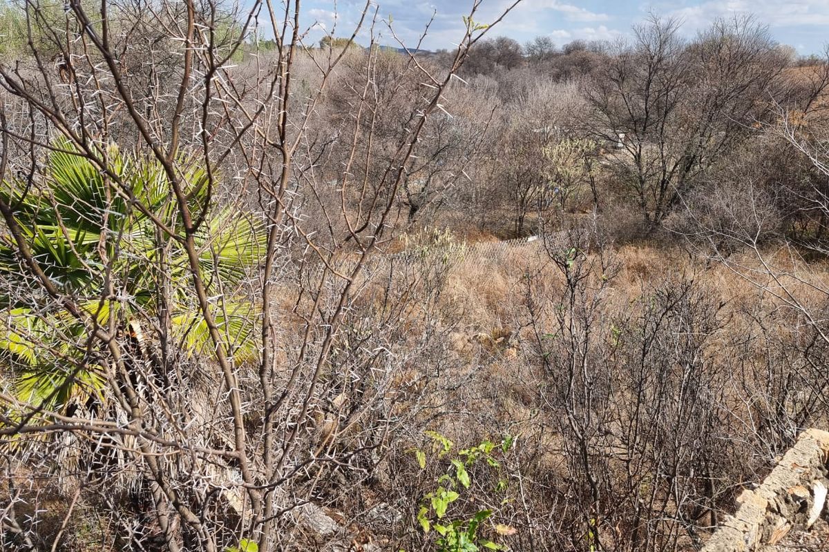 837m2 Stand with Direct Vaal River Access - Photo 2