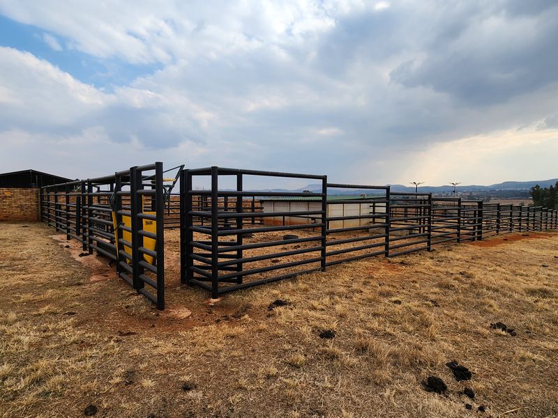 Outdoor agricultural area featuring a structured metal livestock handling facility and cattle crush, enclosed by a brick boundary wall.