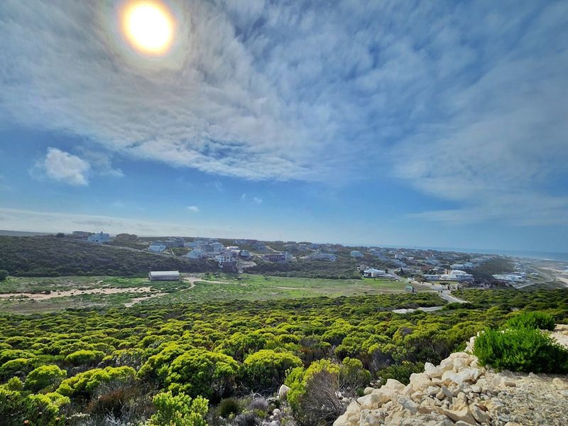 Scenic Stand in Secure Agulhas Nature Reserve - Photo 3