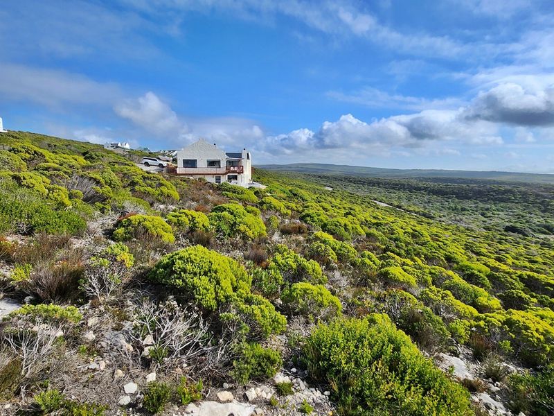 Scenic Stand in Secure Agulhas Nature Reserve - Photo 6