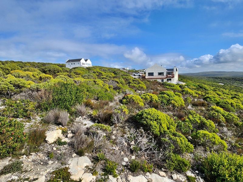 Scenic Stand in Secure Agulhas Nature Reserve - Photo 10
