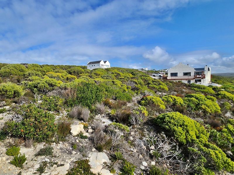Scenic Stand in Secure Agulhas Nature Reserve - Photo 10