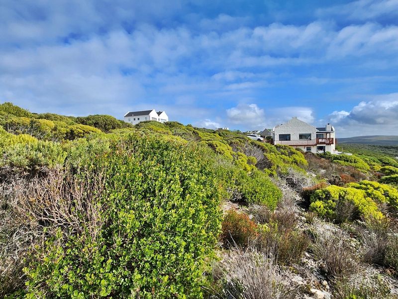Scenic Stand in Secure Agulhas Nature Reserve - Photo 9