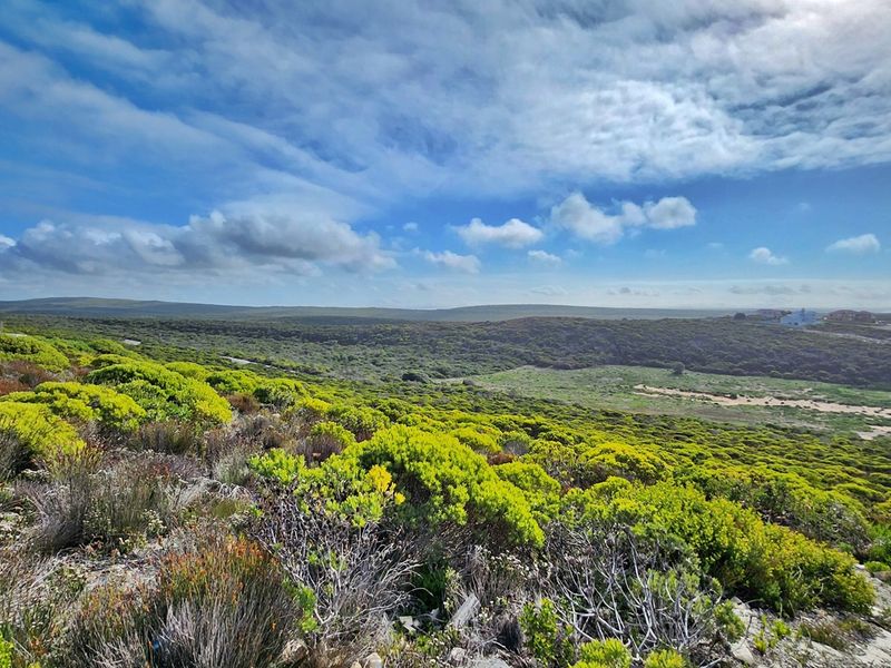 Scenic Stand in Secure Agulhas Nature Reserve - Photo 8
