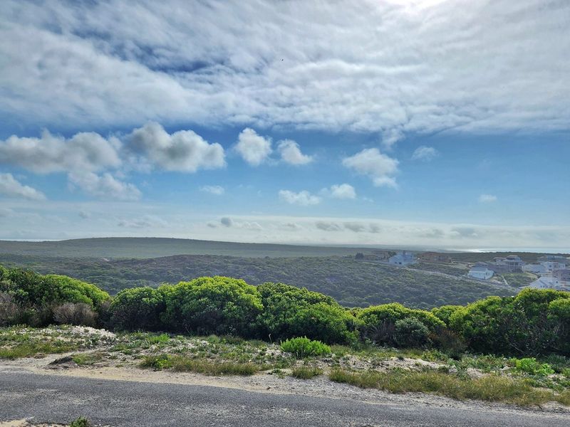 Scenic Stand in Secure Agulhas Nature Reserve - Photo 6