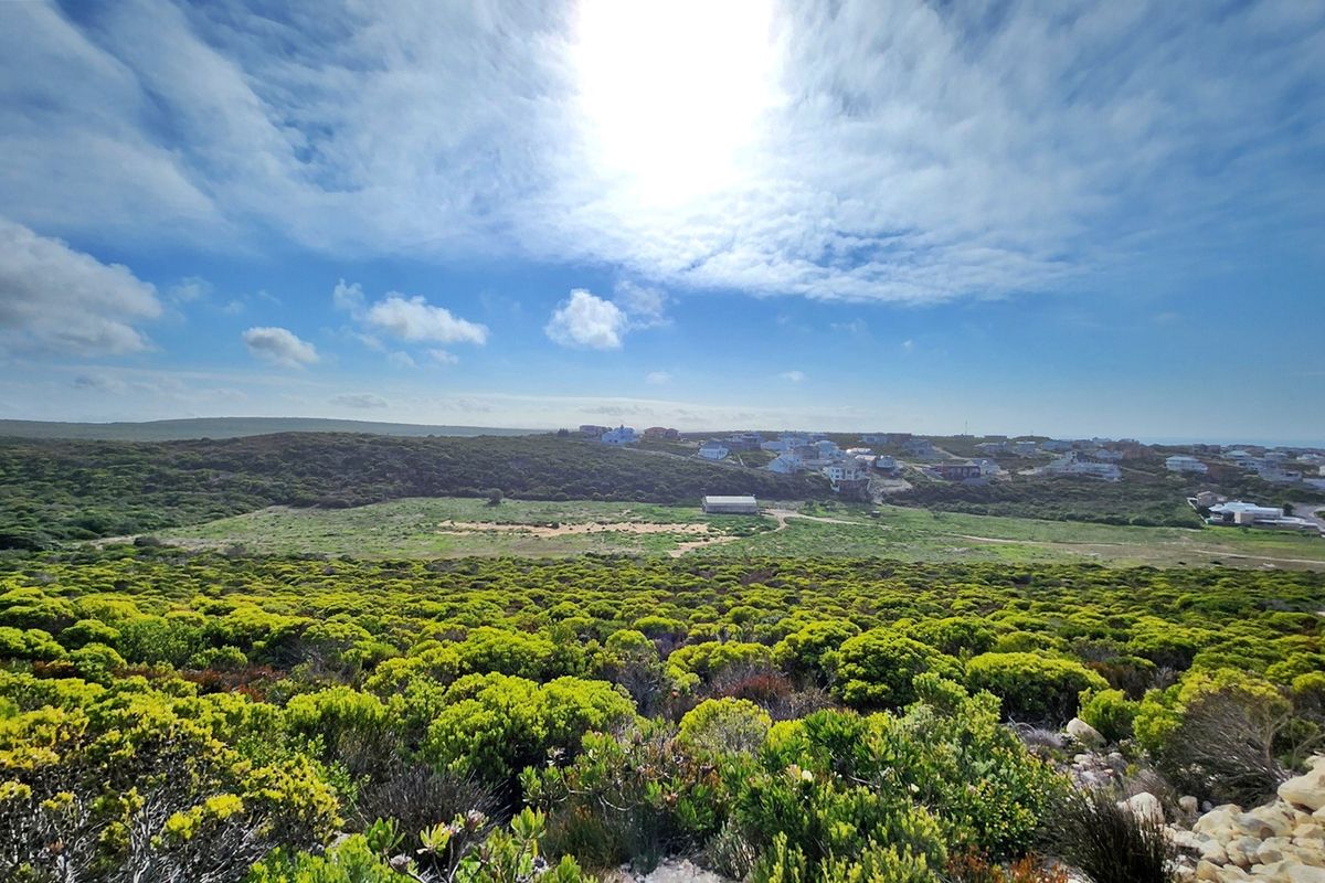 Scenic Stand in Secure Agulhas Nature Reserve - Photo 5