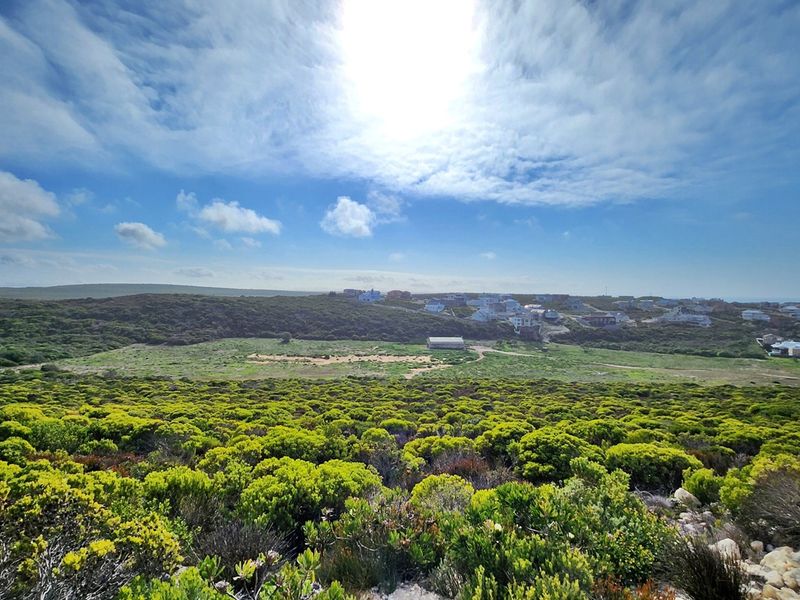 Scenic Stand in Secure Agulhas Nature Reserve - Photo 5