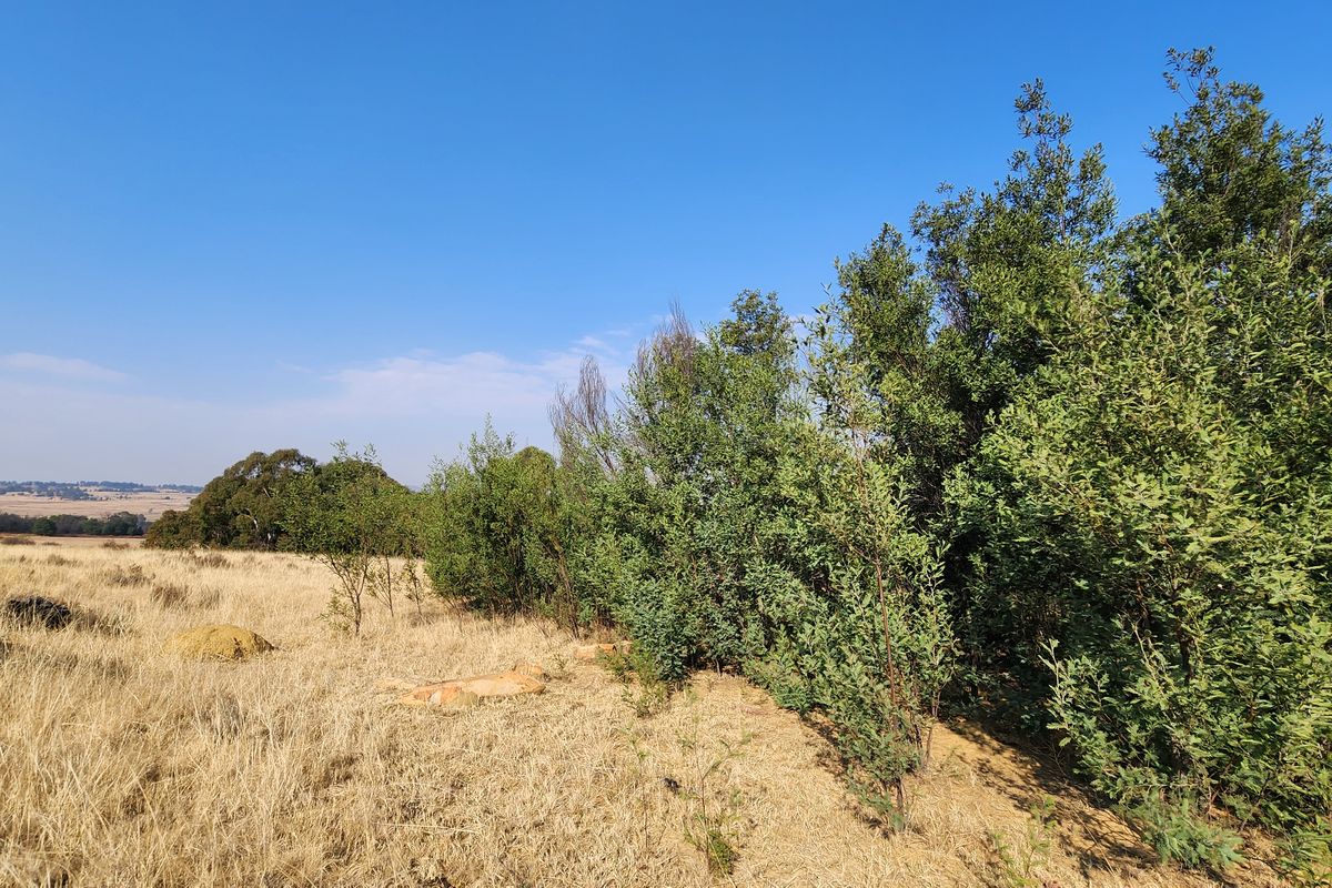 Lifestyle Living on a 1ha Stand – Tranquil Farm Setting in Heidelberg - Photo 2