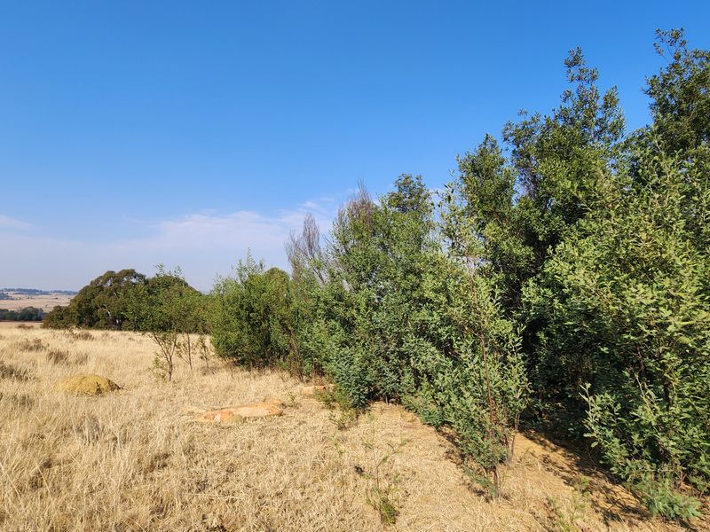 Lifestyle Living on a 1ha Stand – Tranquil Farm Setting in Heidelberg - Photo 2