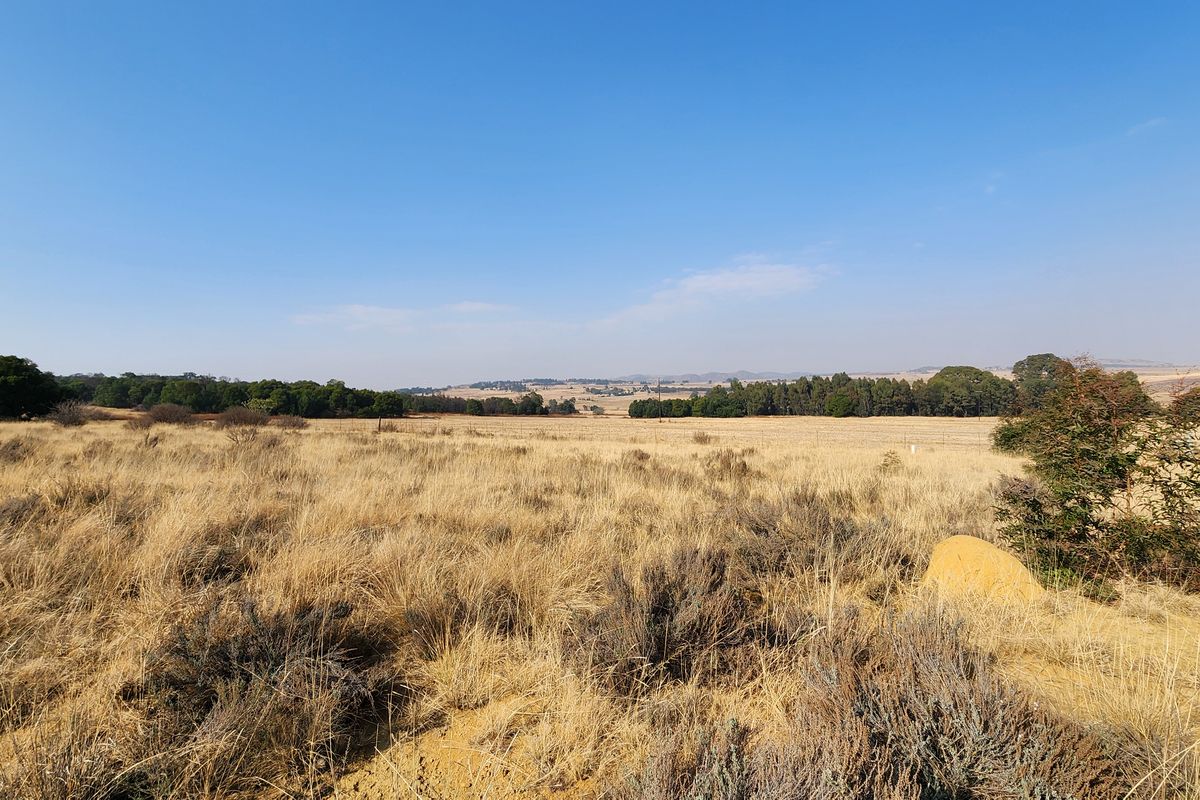 Lifestyle Living on a 1ha Stand – Tranquil Farm Setting in Heidelberg - Photo 5