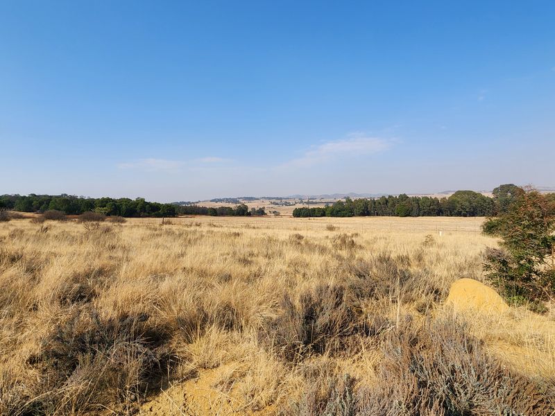 Lifestyle Living on a 1ha Stand – Tranquil Farm Setting in Heidelberg - Photo 5