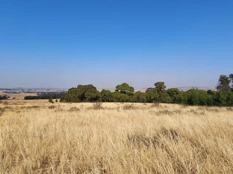 Lifestyle Living on a 1ha Stand – Tranquil Farm Setting in Heidelberg - Photo 10