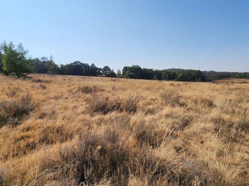 Lifestyle Living on a 1ha Stand – Tranquil Farm Setting in Heidelberg - Photo 8