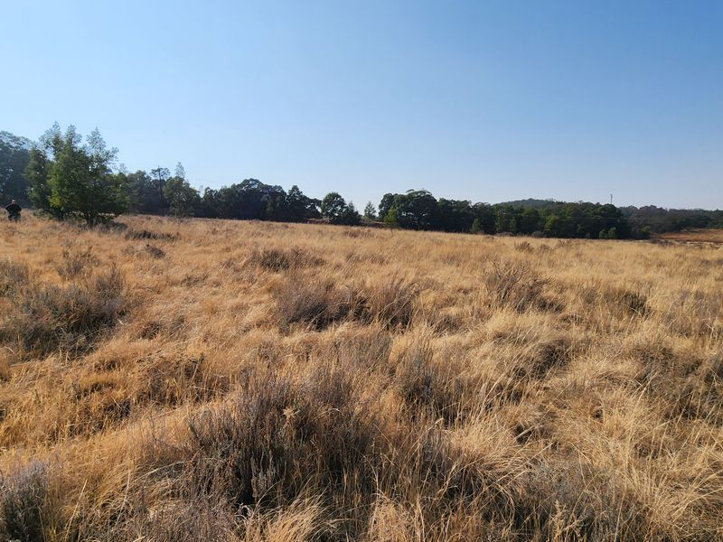 Lifestyle Living on a 1ha Stand – Tranquil Farm Setting in Heidelberg - Photo 7