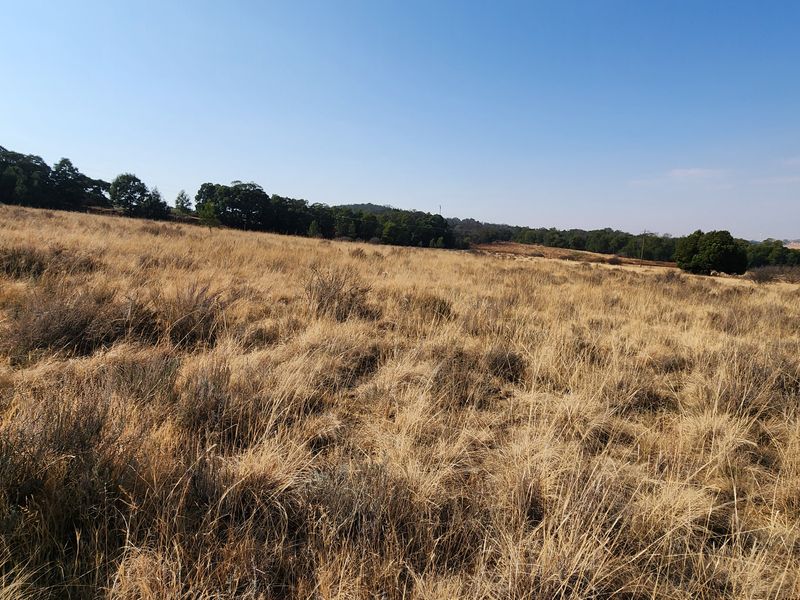 Lifestyle Living on a 1ha Stand – Tranquil Farm Setting in Heidelberg - Photo 6