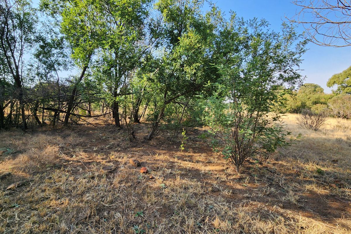 Lifestyle Living on a 1ha Stand – Tranquil Farm Setting in Heidelberg - Photo 3