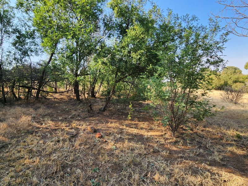 Lifestyle Living on a 1ha Stand – Tranquil Farm Setting in Heidelberg - Photo 3