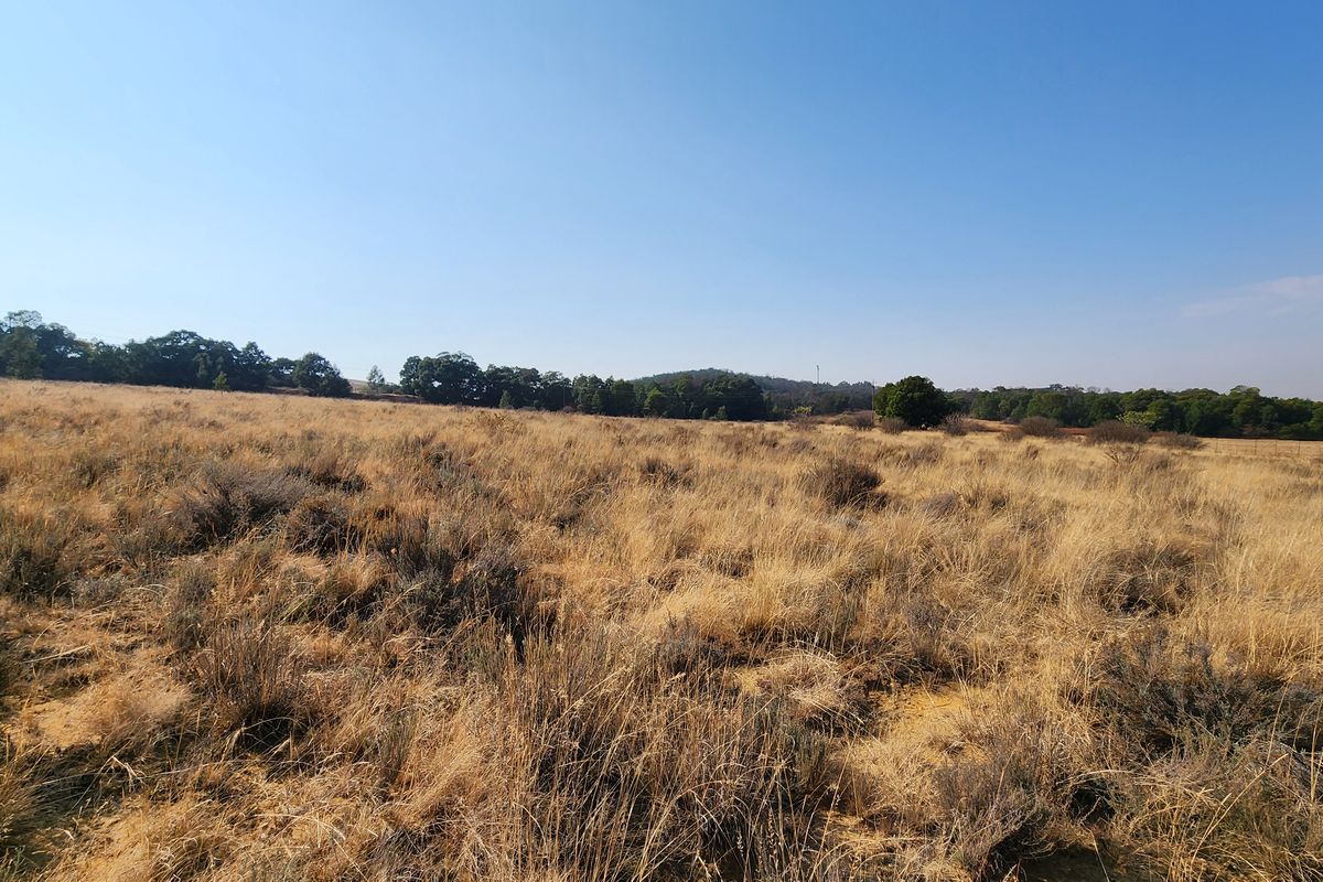 Lifestyle Living on a 1ha Stand – Tranquil Farm Setting in Heidelberg - Photo 4