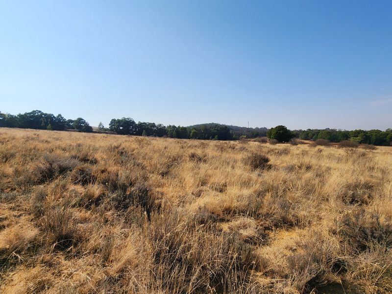 Lifestyle Living on a 1ha Stand – Tranquil Farm Setting in Heidelberg - Photo 4