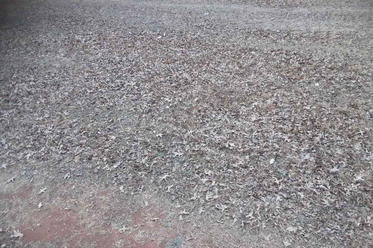 Prime Residential Vacant Land For Sale - Secure & Well-Located. - Photo 3