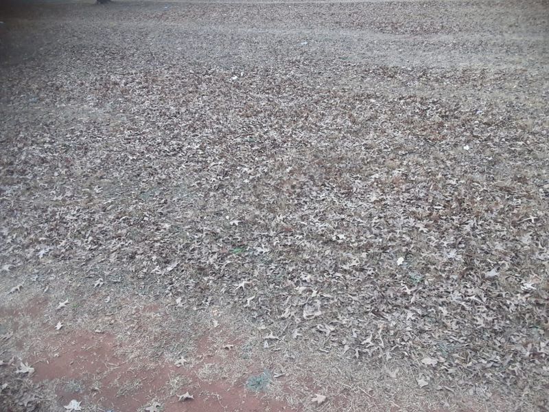 Prime Residential Vacant Land For Sale - Secure & Well-Located. - Photo 3