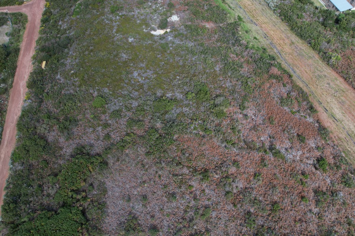 No. 8 Pillansia Road - Betty's Bay - 7700sqm - Photo 5