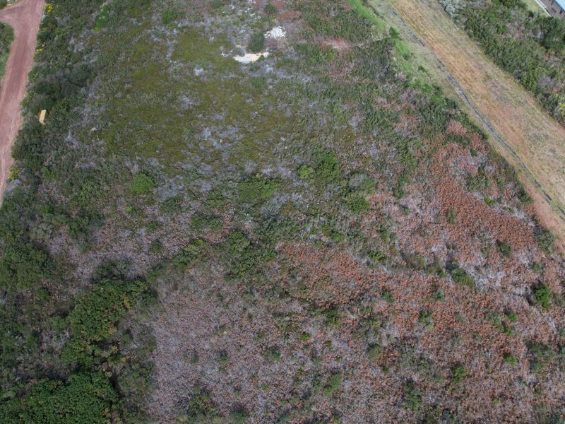 No. 8 Pillansia Road - Betty's Bay - 7700sqm - Photo 5