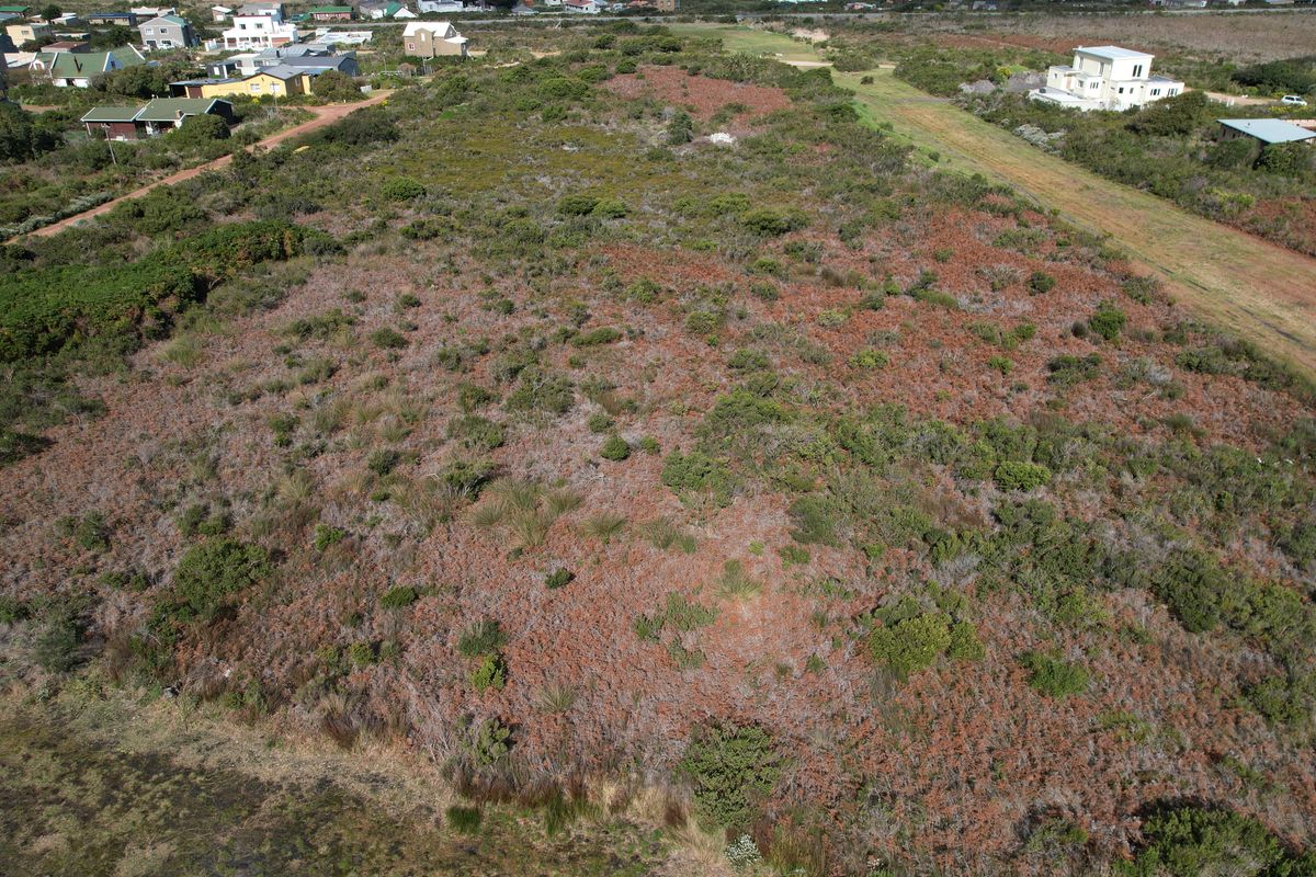 No. 8 Pillansia Road - Betty's Bay - 7700sqm - Photo 4