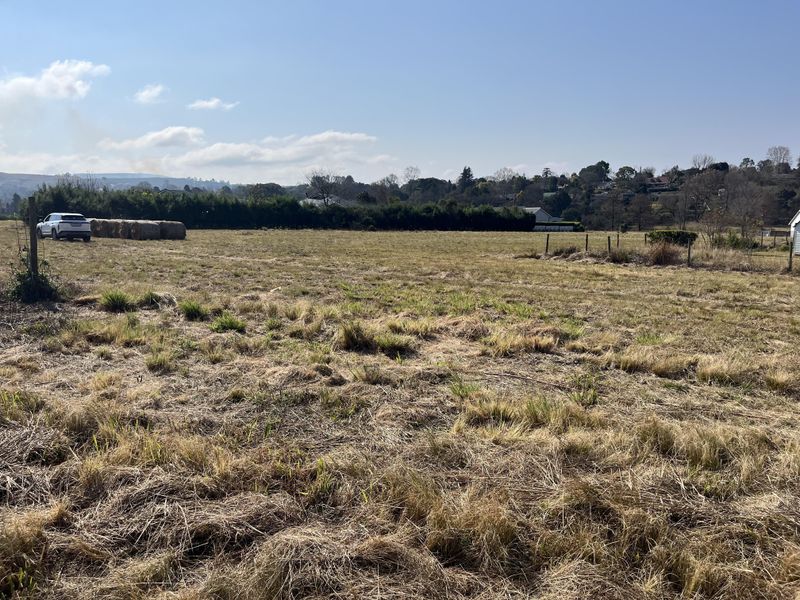 Exceptional Vacant Stand in River Goose Estate – Space, Sunlight & Security - Photo 2