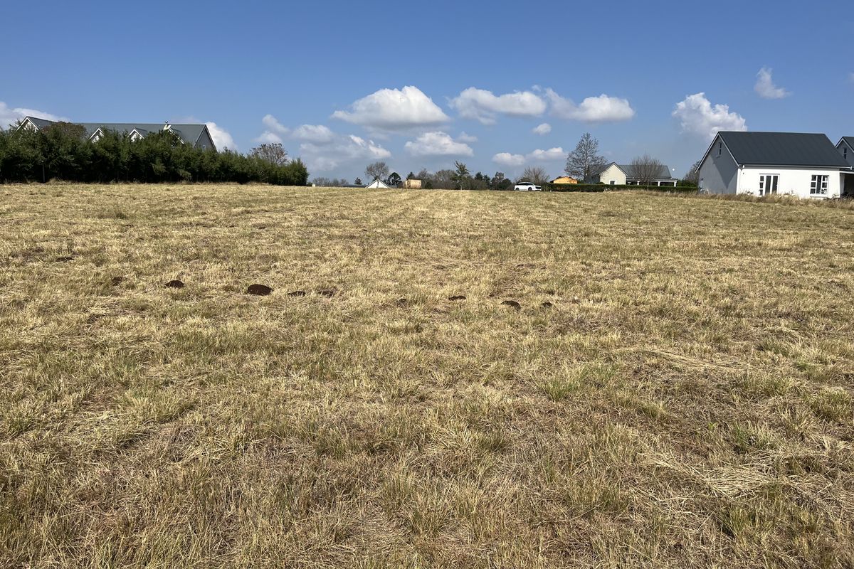 Exceptional Vacant Stand in River Goose Estate – Space, Sunlight & Security - Photo 3